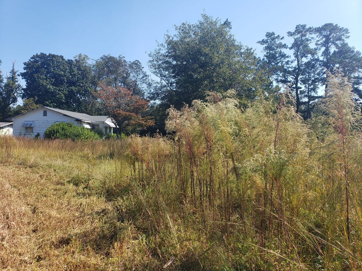 Bush Hogging for TJ Farm and Land Management in Loris, SC