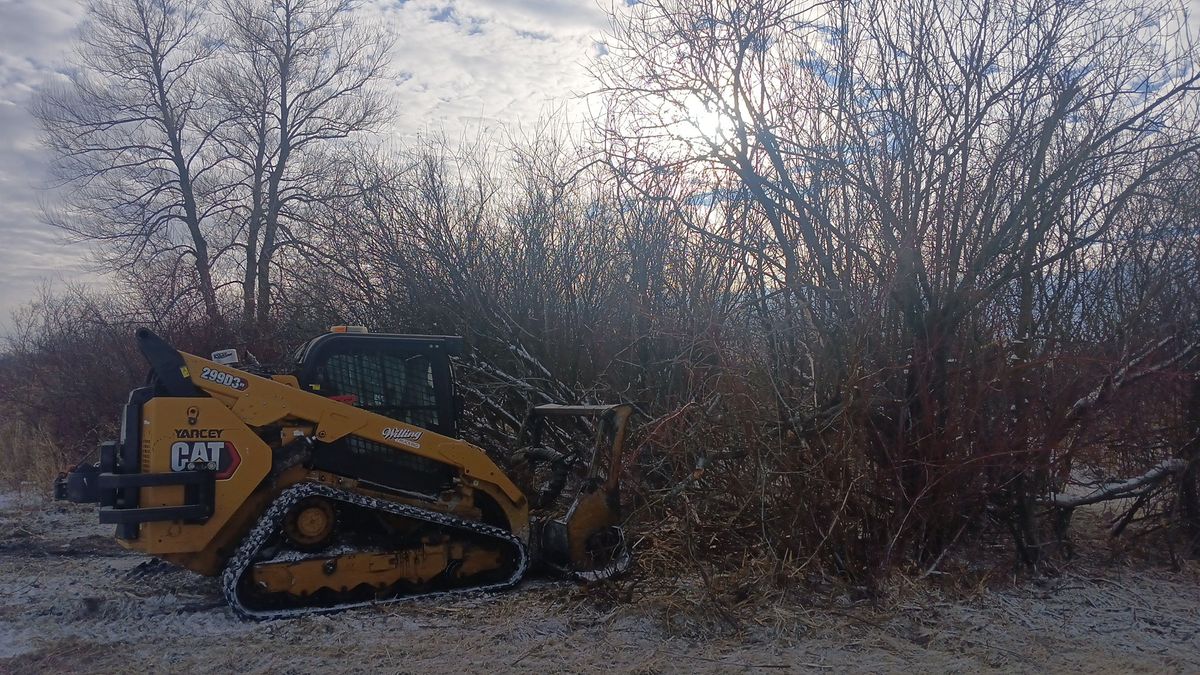 Tree Removal for Willing Trucking & Excavating in Evansville, WI