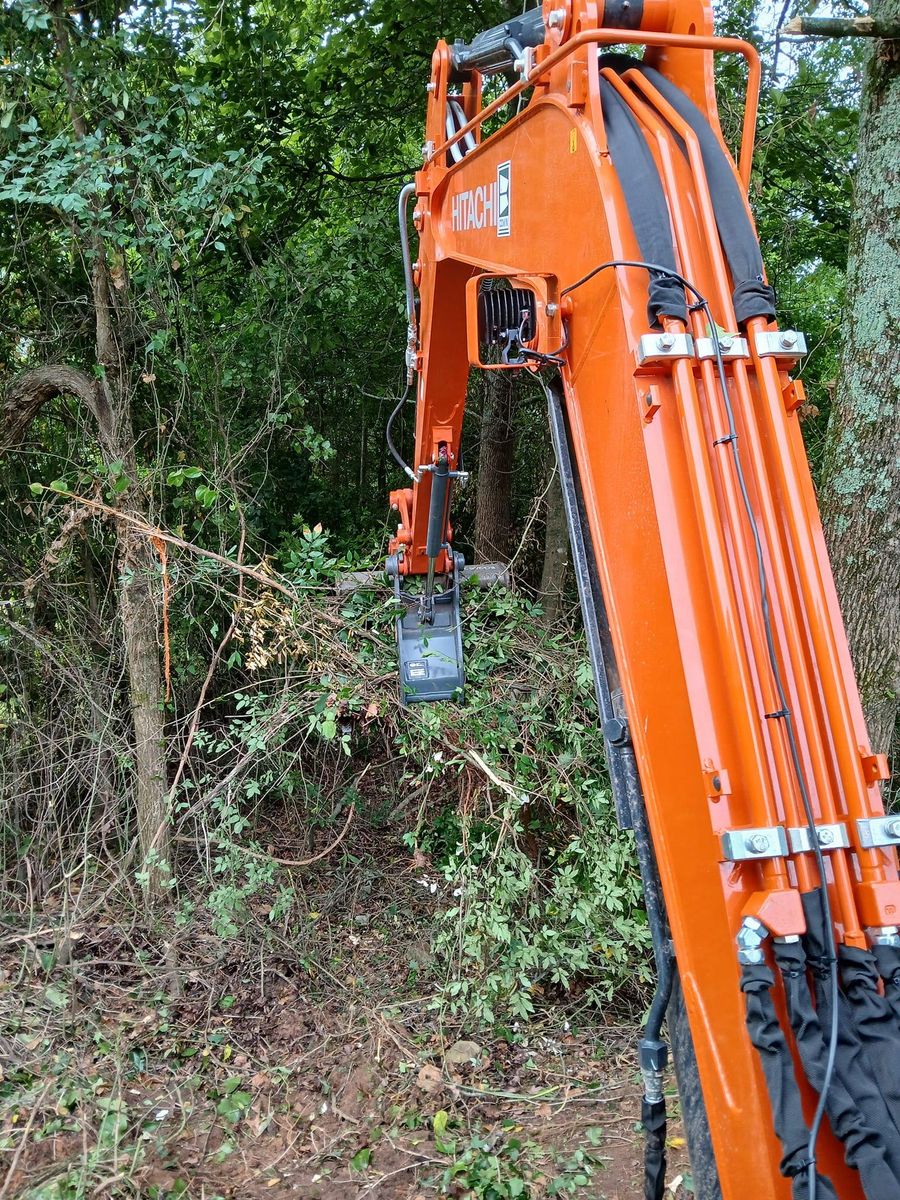 Clearing for Septic & Sewer Solutions in Buford, GA