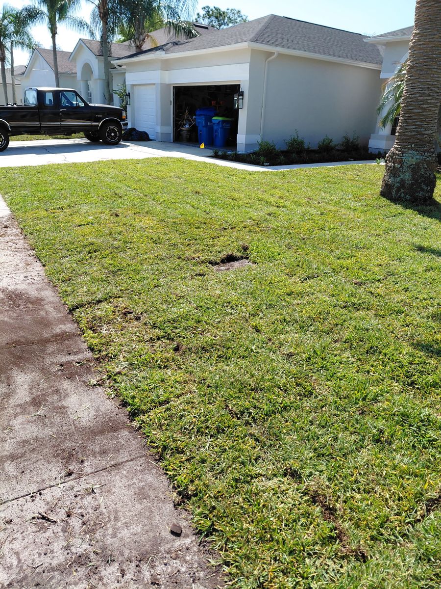 Sod Installation for Gulf Bay Sod in Clearwater, FL