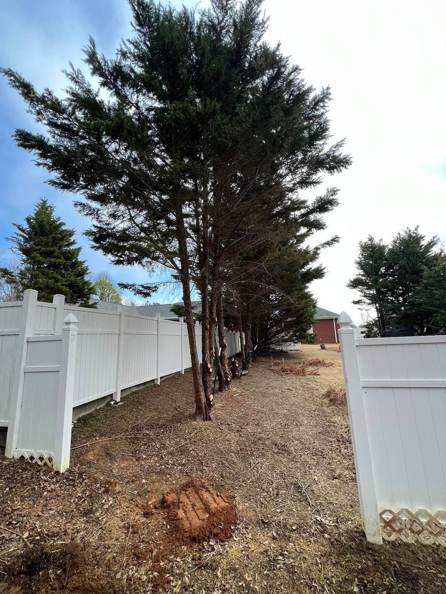 Tree Trimming & Removal for Mud Creek Vegetation Management in Russellville, AL