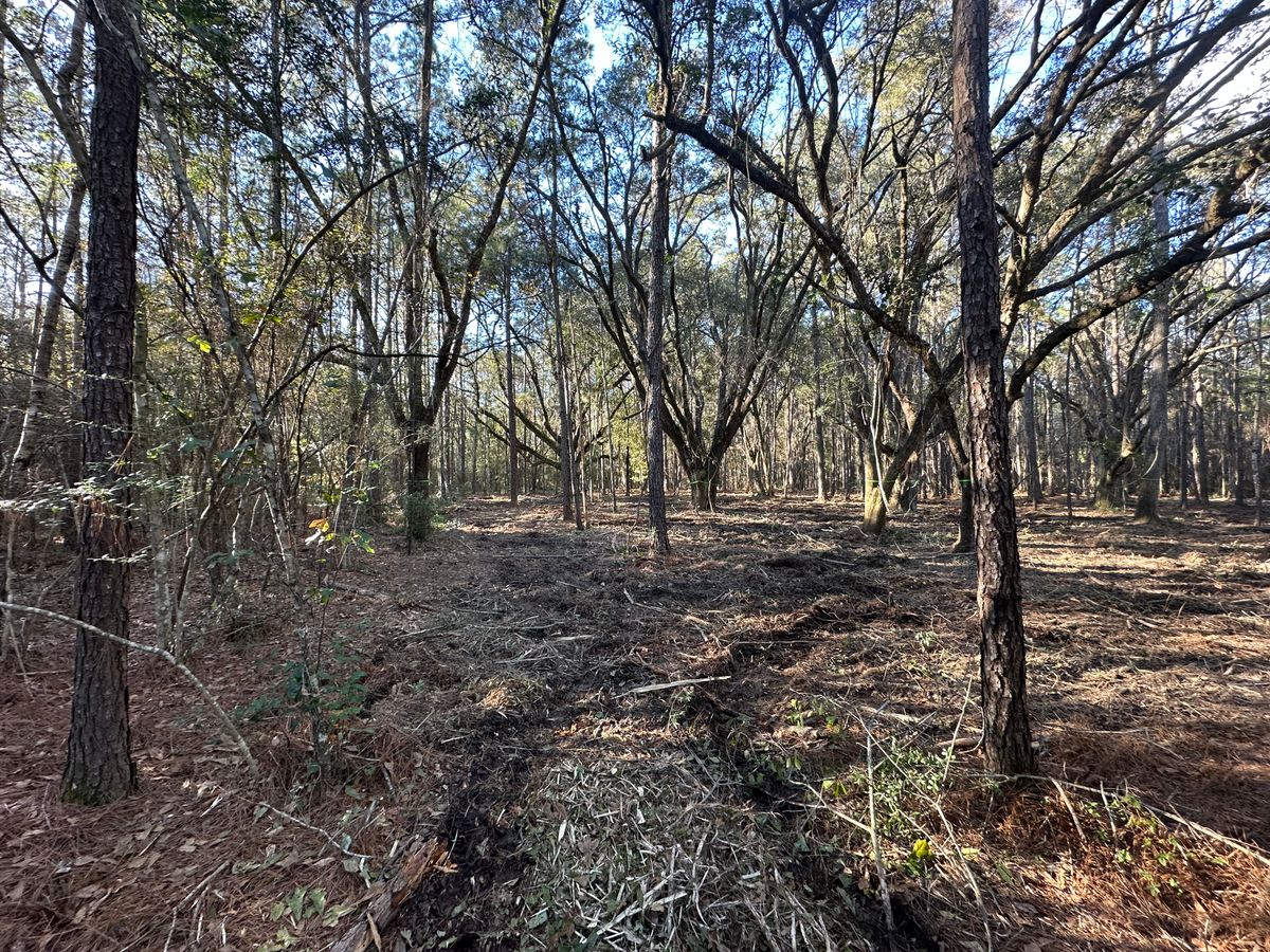 Land Clearing & Demolition for Platinum Construction llc in Pearl River, MS