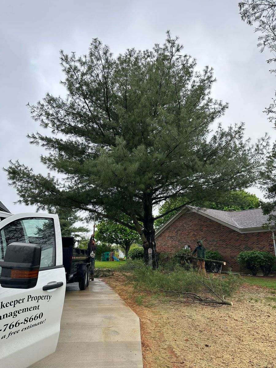 Tree Trimming for Greenskeeper Property Management in Elizabethtown, KY