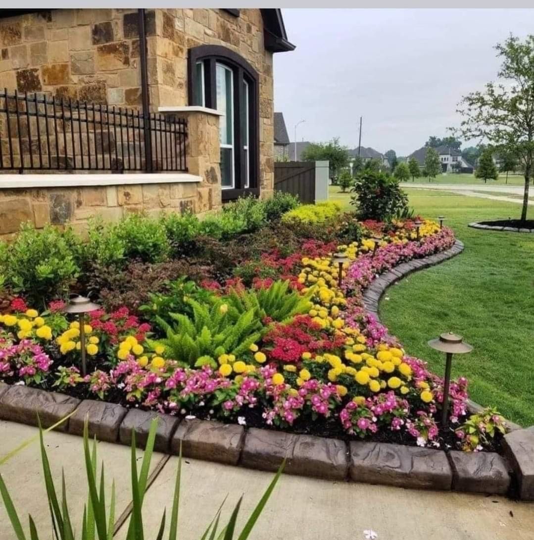 Landscaping for Texas Curb N Borders in Houston, TX