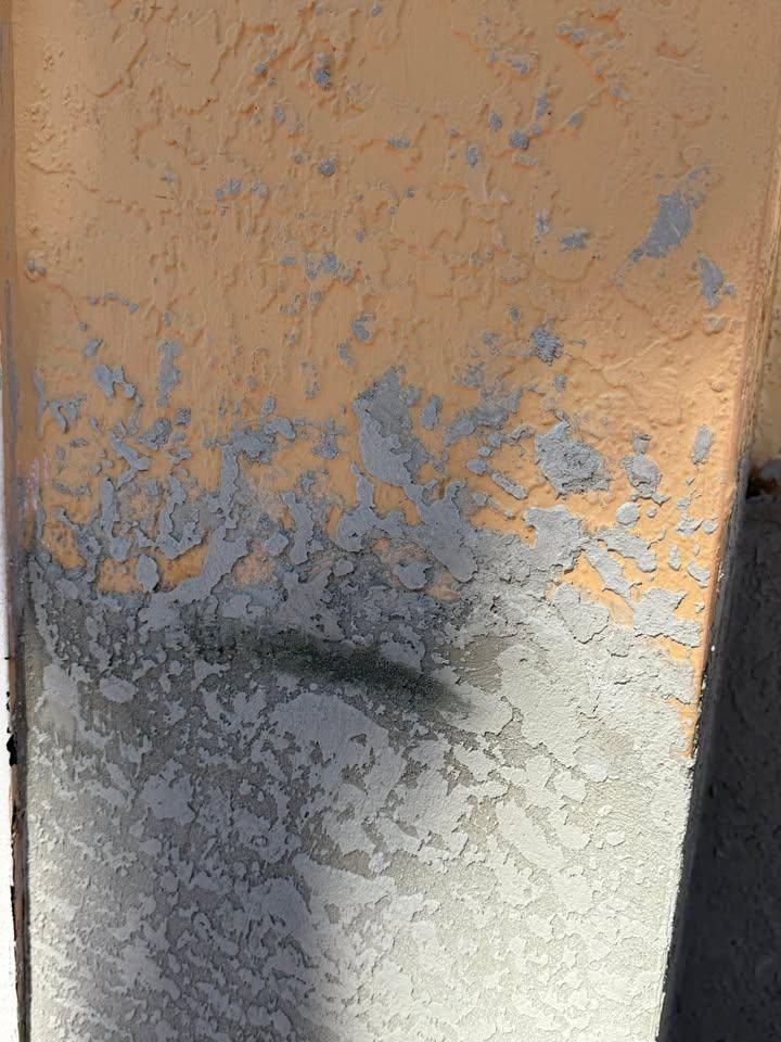 Stucco for Escorpio Painting in Tampa, FL