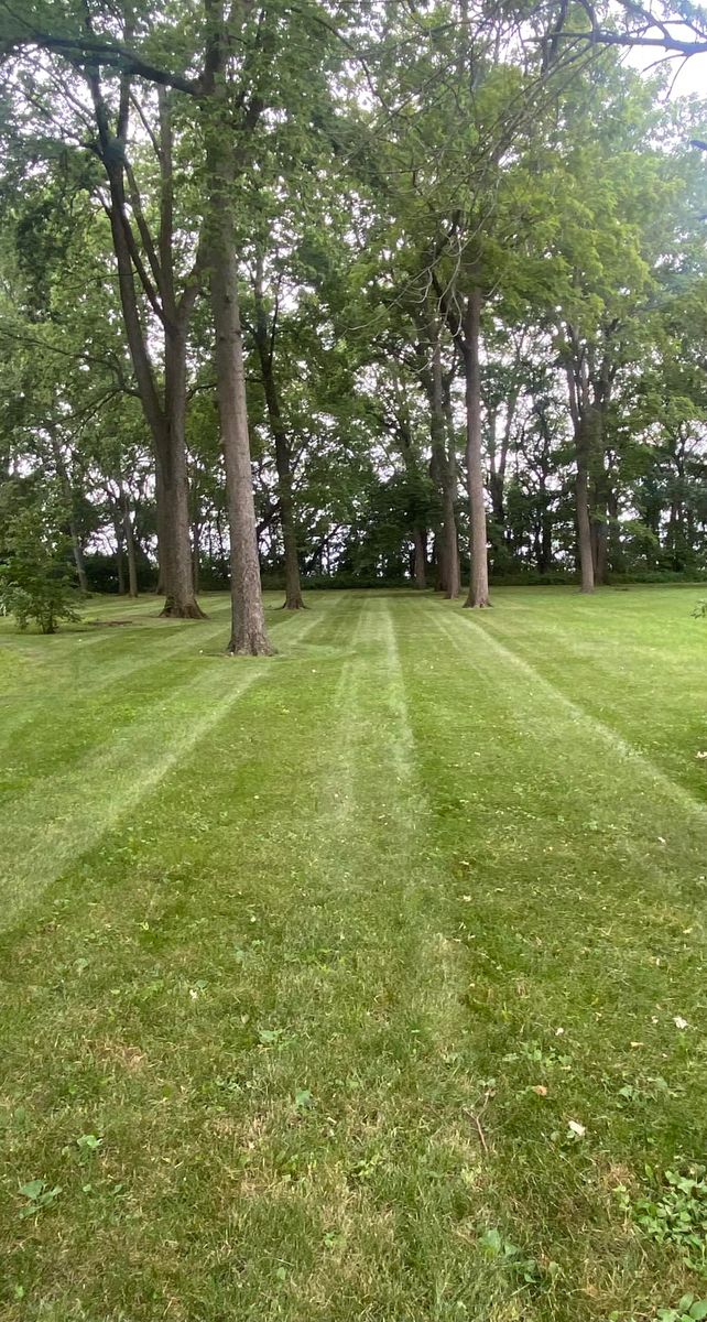 Tree Trimming for Lawn Masters in Hoopeston, IL