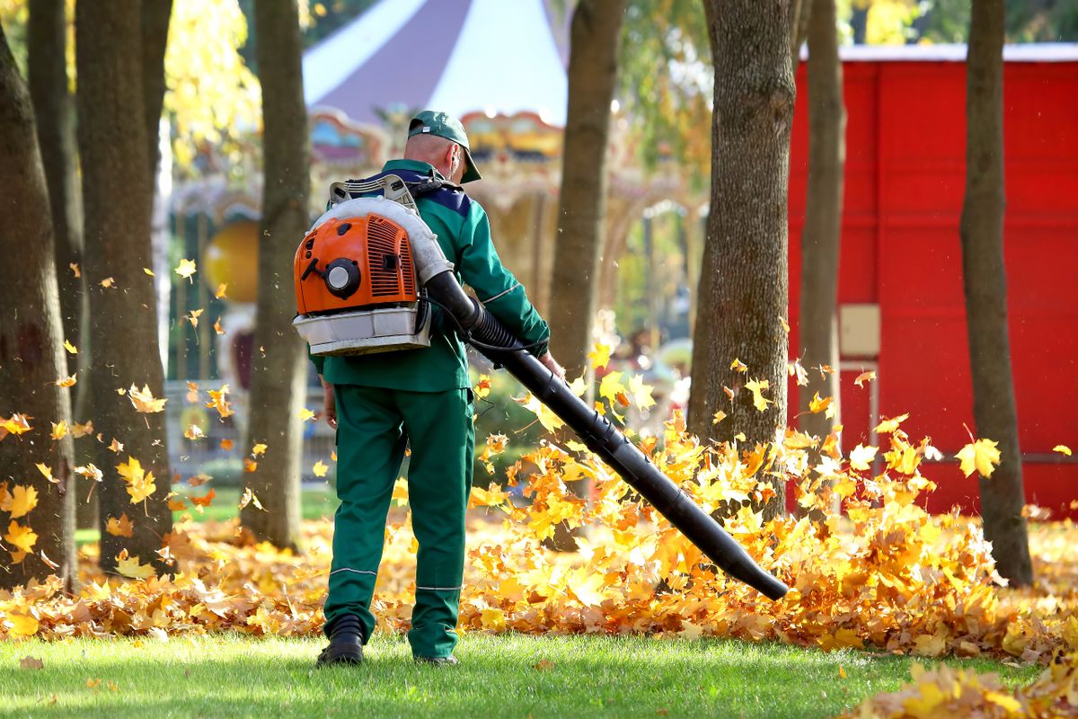 Fall Clean Up & Gutter Clearing for Green Shoes Lawn & Landscape in Cincinnati, OH