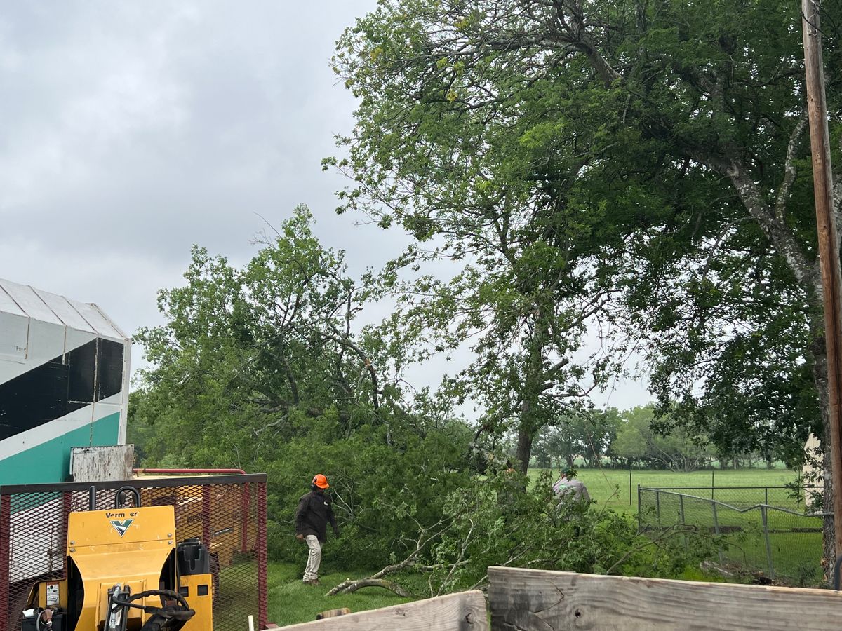 Fall Clean Up for DR Landscape in San Antonio, TX