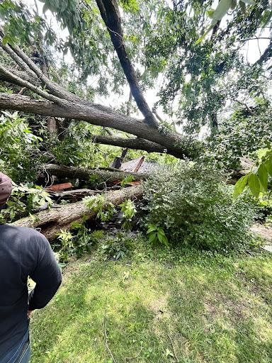 Tree Removal for Ricky's Tree Service & Property Care in Orange, VA