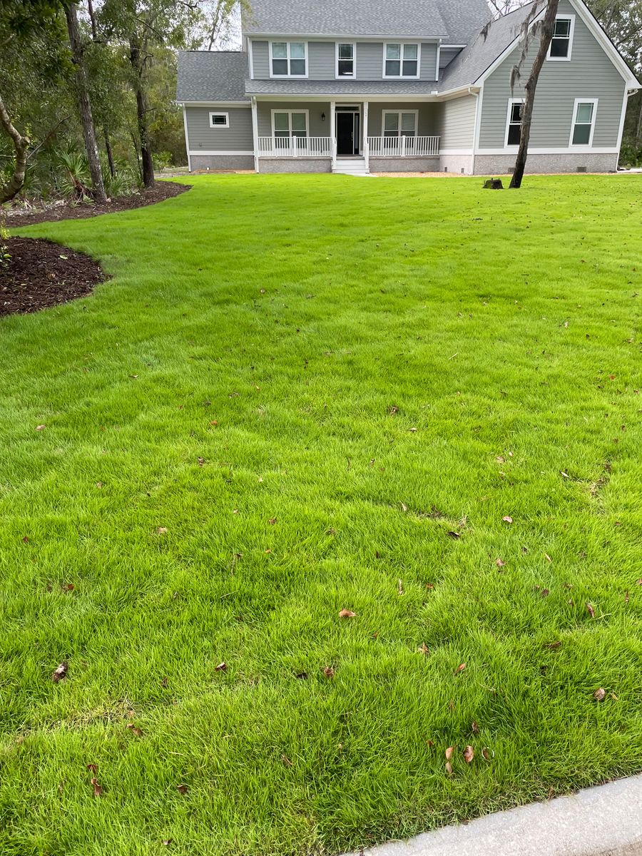 Land Clearing for Golden Isles Greenery in Brunswick, GA