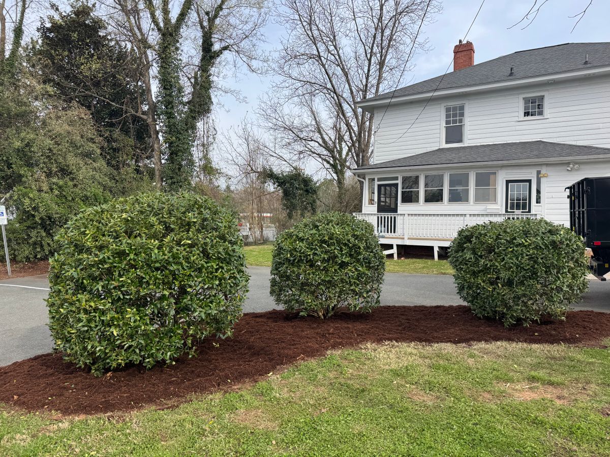 Shrub Trimming for Chavez Landscaping in Pittsboro, NC