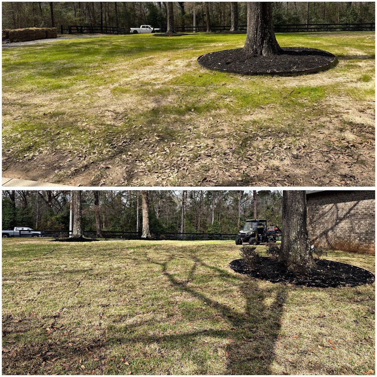 Lawn Care for JT’s Landscaping in Tyler County, TX