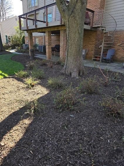 Mulch Installation for W D Giampa Lawns and Landscape Inc. in Manassas, VA