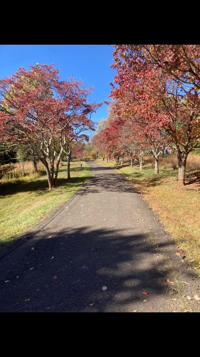 Landscaping for 9999 Building and Renovation LLC in Warrenton, VA