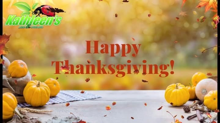 Lawn Care for Kathleen's Lawn & Shrub Care in Augusta, GA