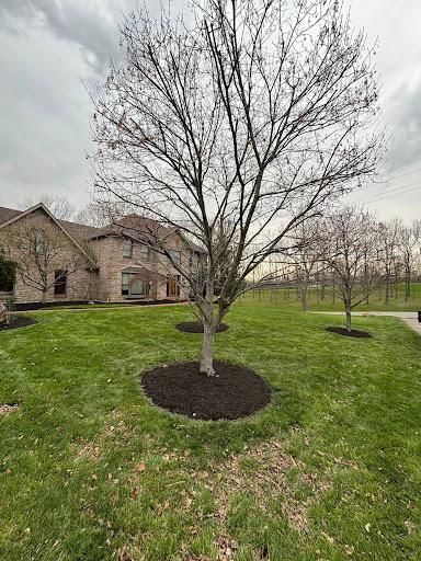 Mowing for Chapman's Lawncare and Landscaping in Connersville, IN