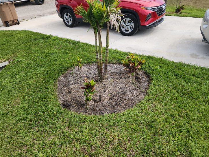 Mulch Installation for Southern Pride Turf Scapes in Lehigh Acres, FL