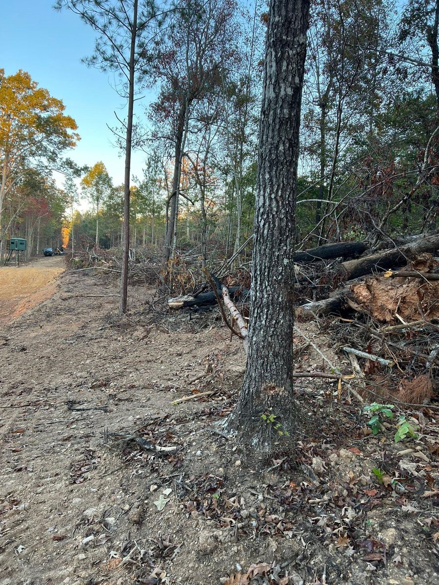 Land Clearing for Southern Roots Services in Carrollton, GA