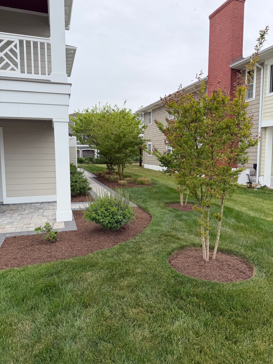 Trimming for Lawn pro services in Georgetown, DE