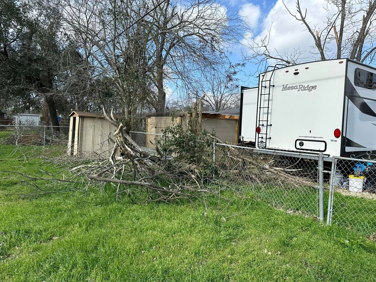 Tree Removal and Tree Trimming for Allen Lawn Care in Taylor, Texas