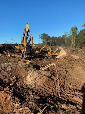 Tree Trimming & Removal for Legacy Land Clearing in Knoxville, TN