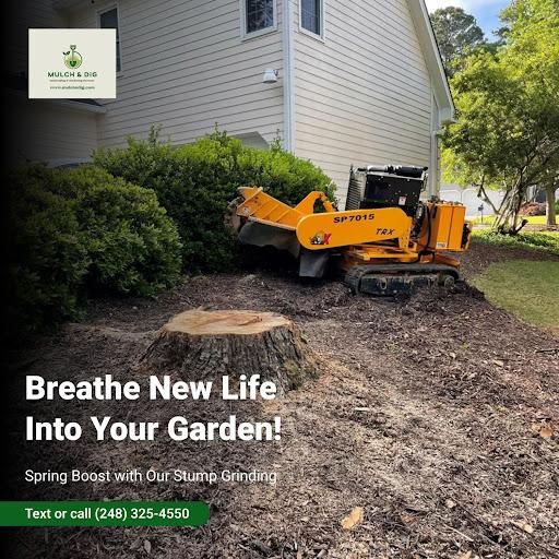 Tree Trimming & Removal for Mulch & Dig in West Bloomfield Township, MI