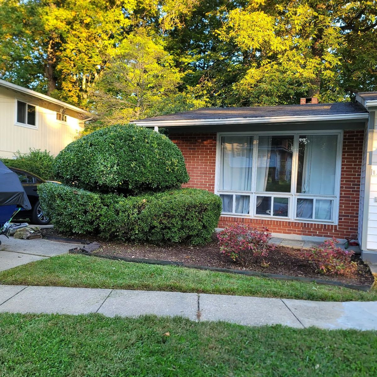 Landscaping for Antonio & Sons Contractors LLC in Elkton, MD