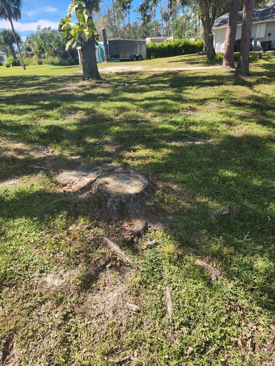 Land Clearing for Nick of Time Tree Service in North Port, FL