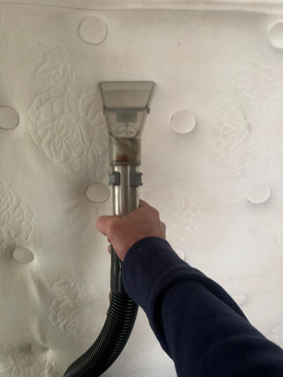 Other Services for Pro-Care Carpet & Upholstery Cleaning in Saint James, NY