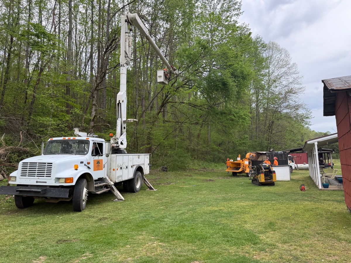 Tree Trimming for Ross Family Tree Service LLC  in Hohenwald, TN