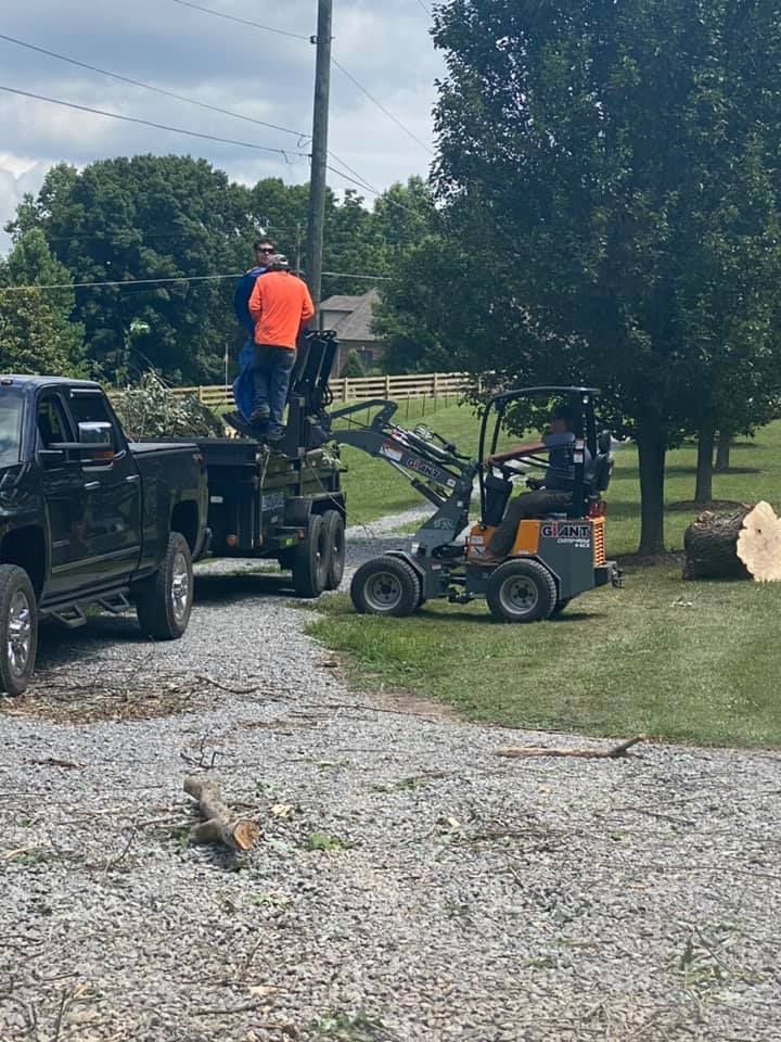 Emergency Tree Service for JayBird Tree Service  in Goodlettsville, TN