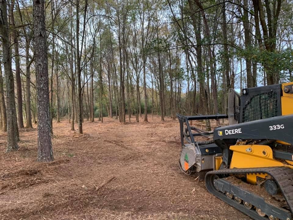 Forestry Mulching for KLNAX Enterprises Inc. in Social Circle, GA