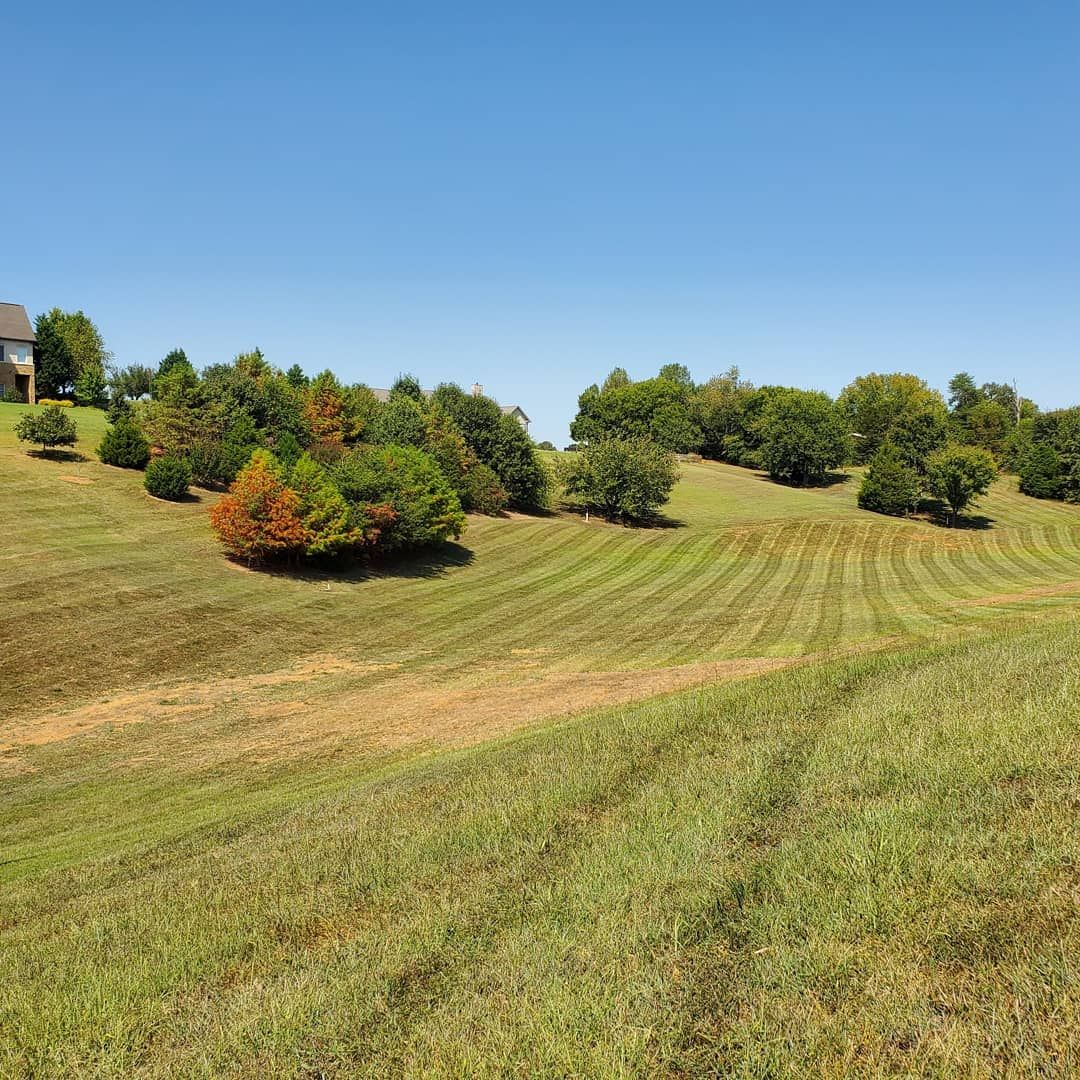 Trimming for Great Lakes Lawn & Landscape in knoxville, TN
