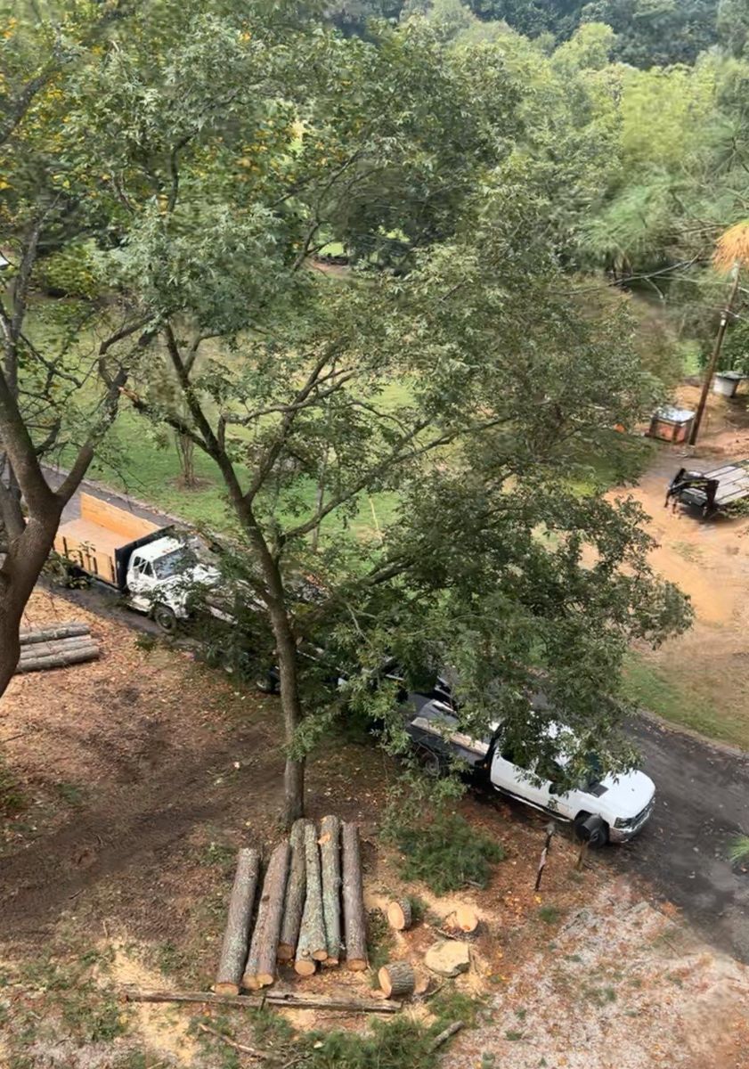 Fall Clean Up for Brooks Tree Service, LLC in Casar, NC