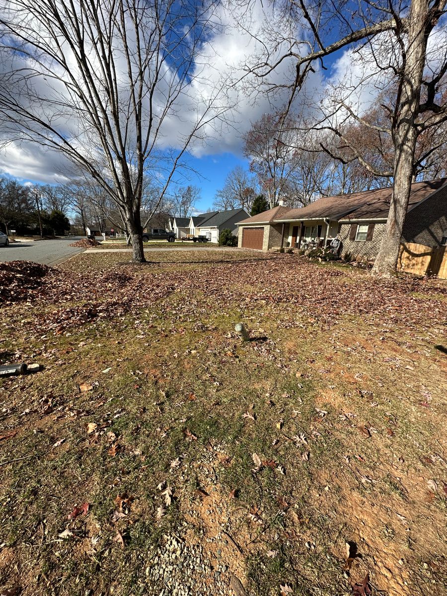 Curbside Leaf Collection and Fall Clean Ups for Kyle's Lawn Care in Kernersville, NC