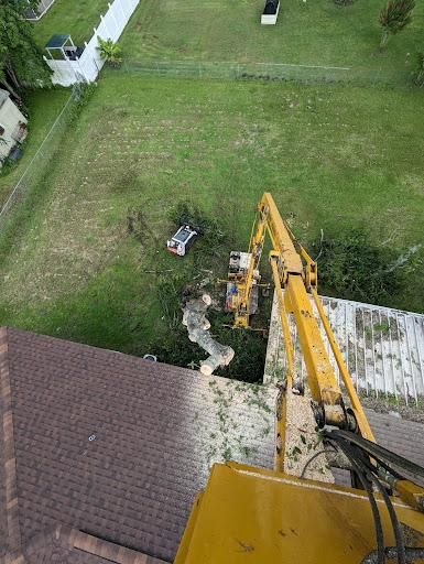 Skid Steer Work for Regal Tree Service and Stump Grinding in Wauchula, FL