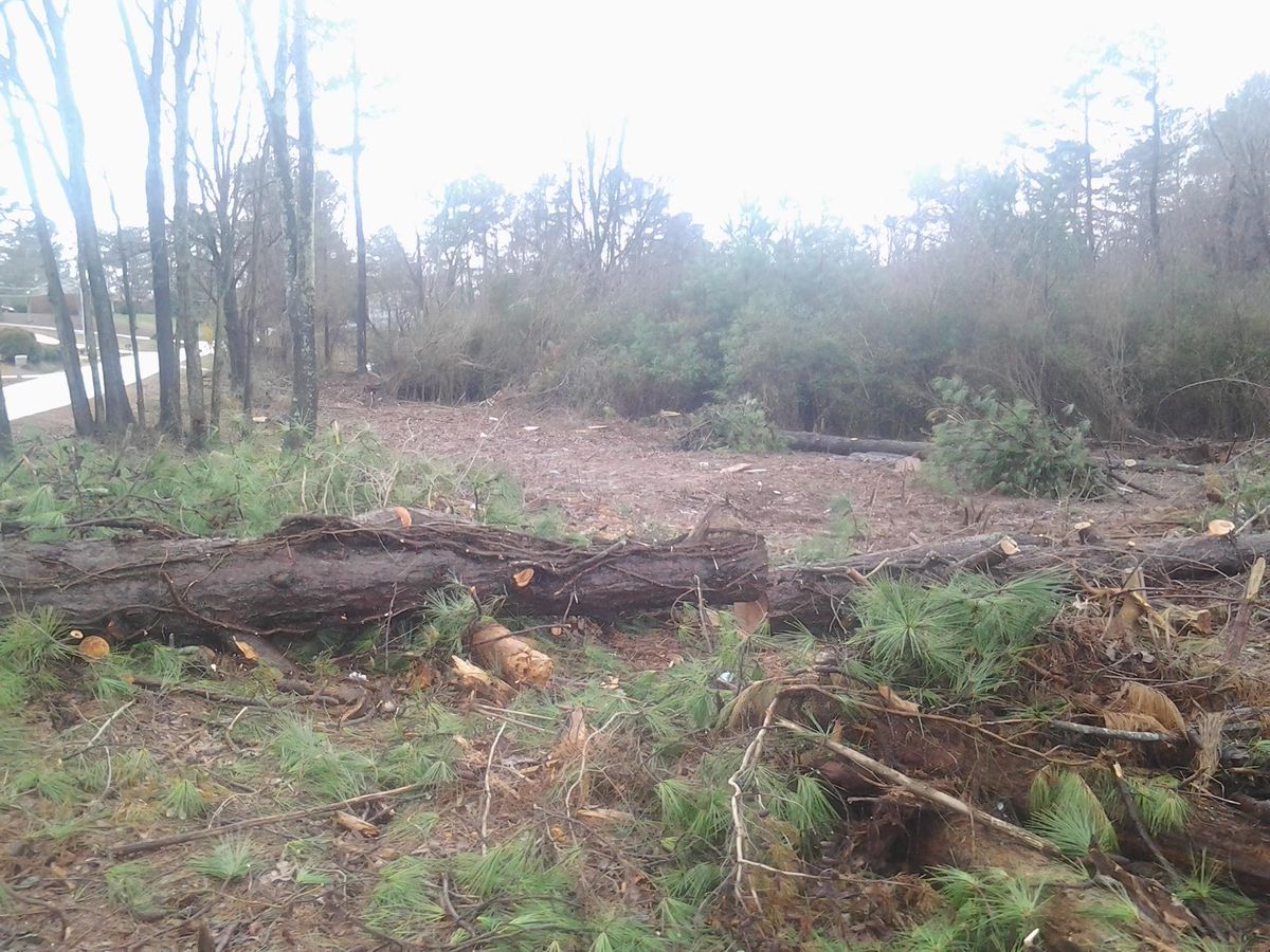 Grading for Wofford's Grading Clearing and Landscaping in Milton, GA