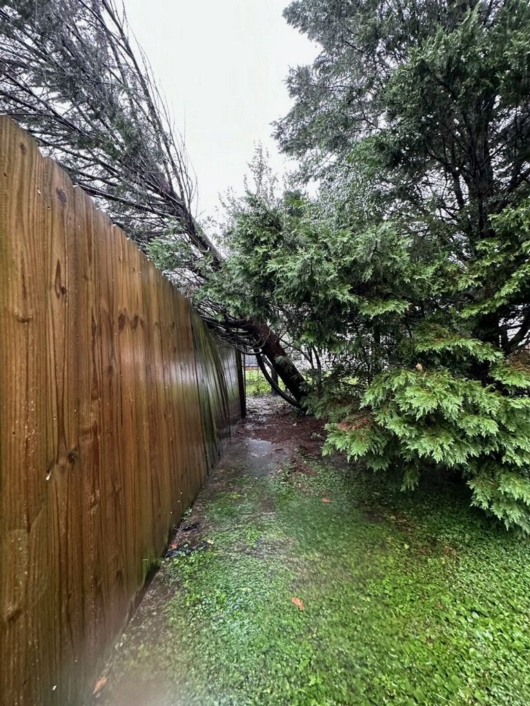 24 Hour Emergency Tree Removal for Tidewater Tree Service in Chesapeake, VA