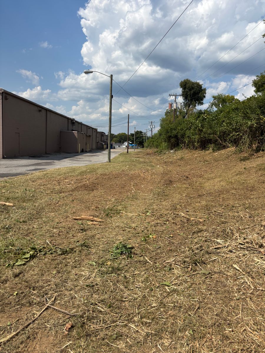 Land Clearing for Gregory Grass and Lawn in Lafayette, TN