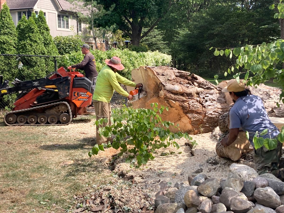Tree Removal for Village Tree Service  in Whitestown, IN