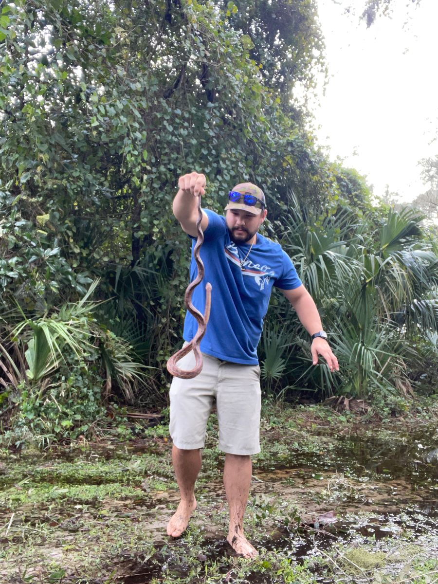 Snakes and more for North Brevard Wildlife Solutions in Mims, FL