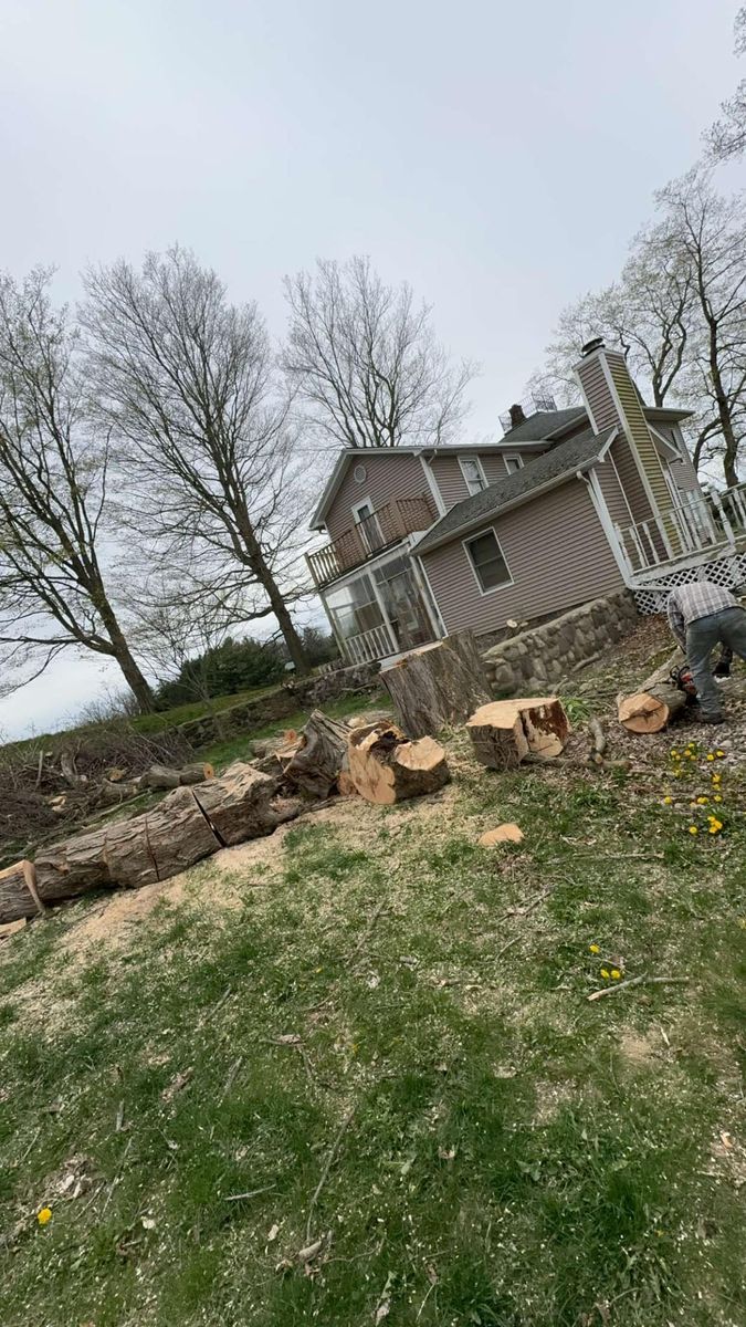 Tree Removal for Branching Out Tree Service in Hastings, MI