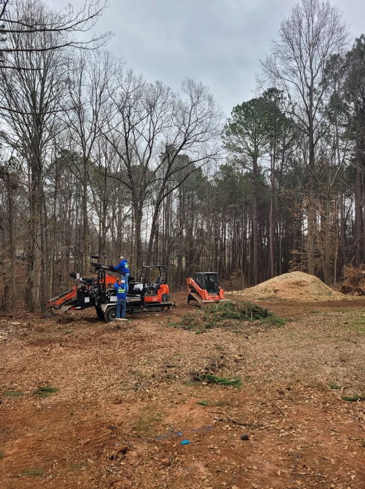 Tree Trimming & Removal for Bobcat Bob in Clermont, GA