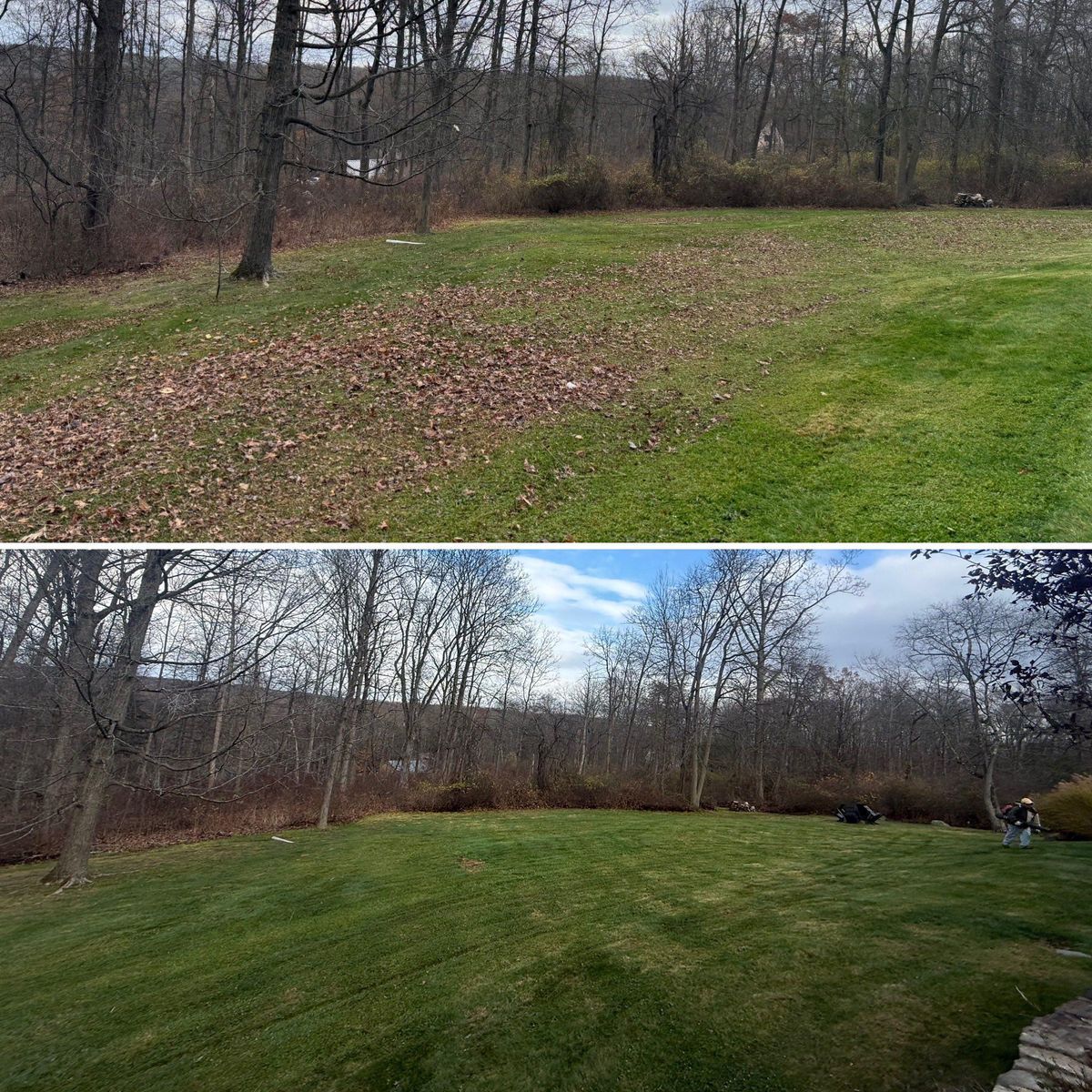 Fall Clean Up for LJ Lawn & Property Maintenance, Inc. in Cold Spring, New York