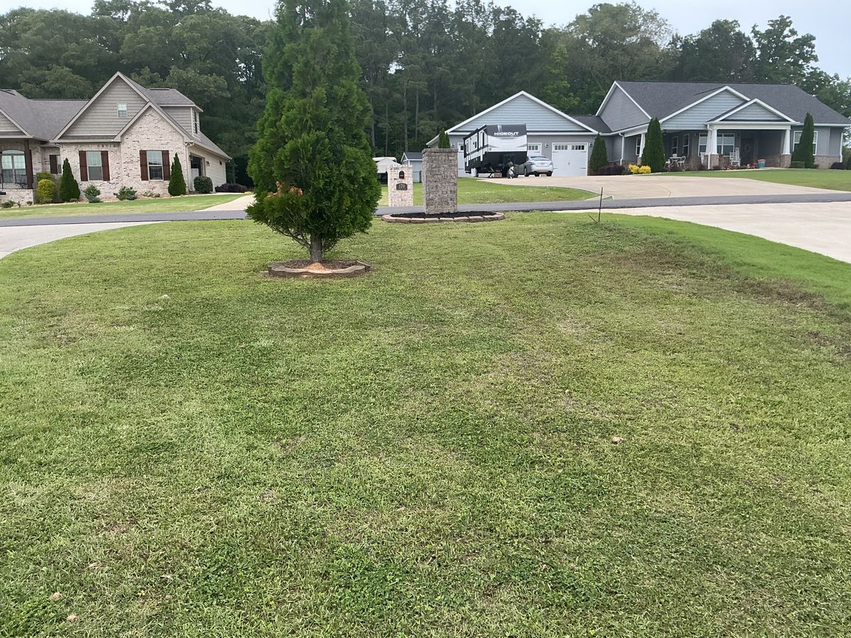 Lawn Maintenance for Xtreme Landscaping & Lawn Care in Lincoln, AL