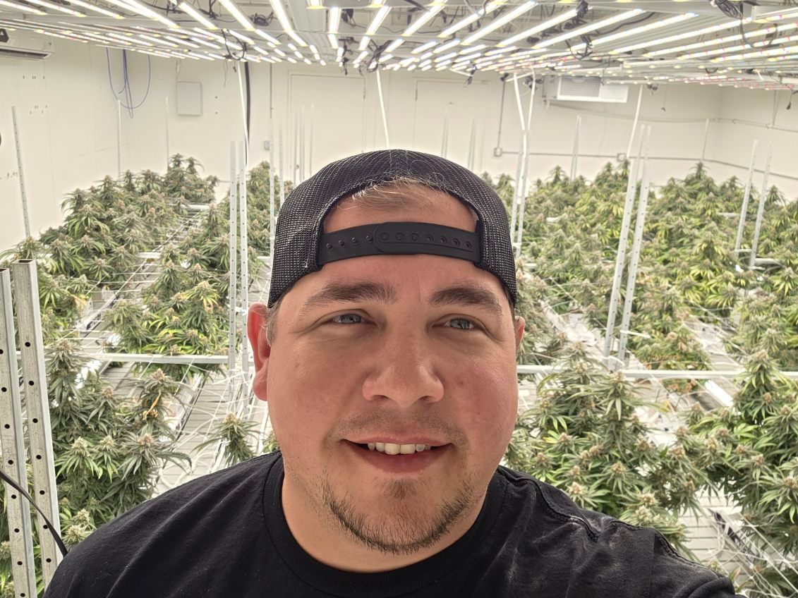 Cannabis Farm Climate Control for Rainier Air Services in Kent, WA