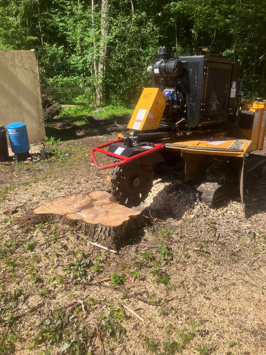 Stump Removal for Lovenguth Logging and Tree Service in West Monroe, NY