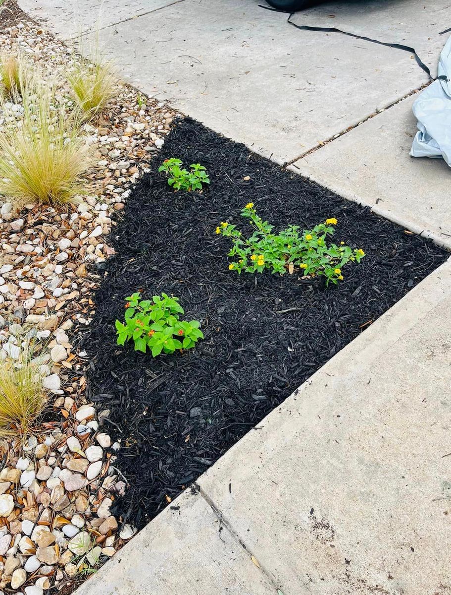 Mulch Installation for Rustic Roots Landscaping in Austin, TX