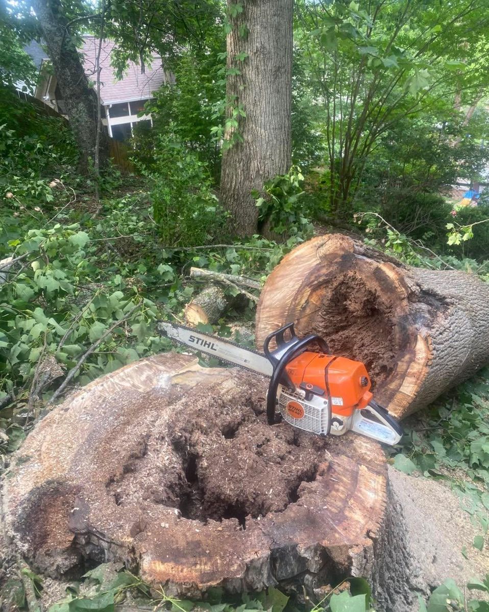 Stump Removal for Pinedown LLC in Cherokee County, GA