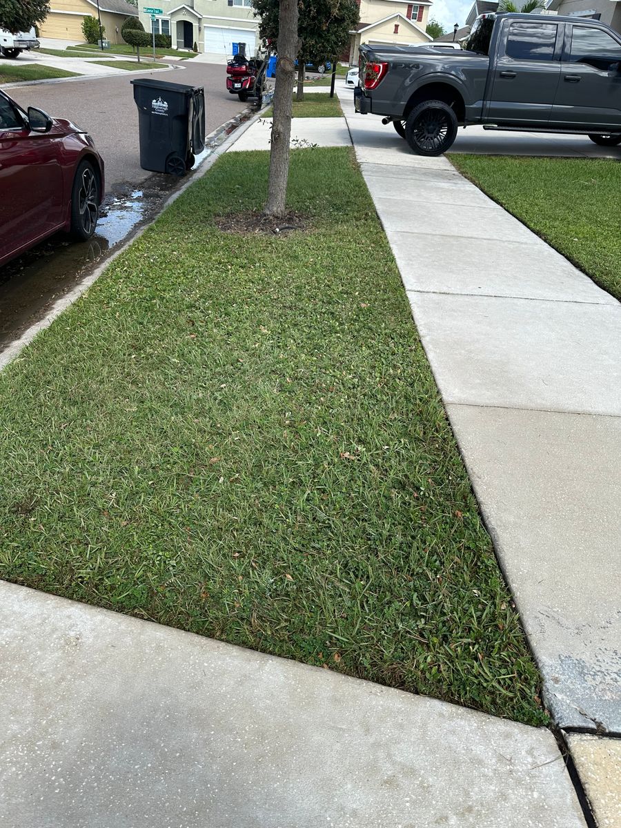 Lawn Maintenance for The Yardman in Tampa, FL